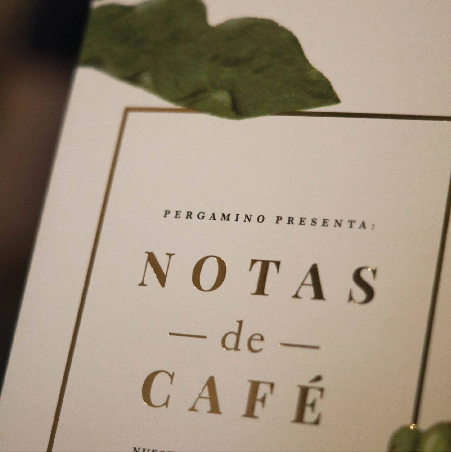 Notas de Café Booklet