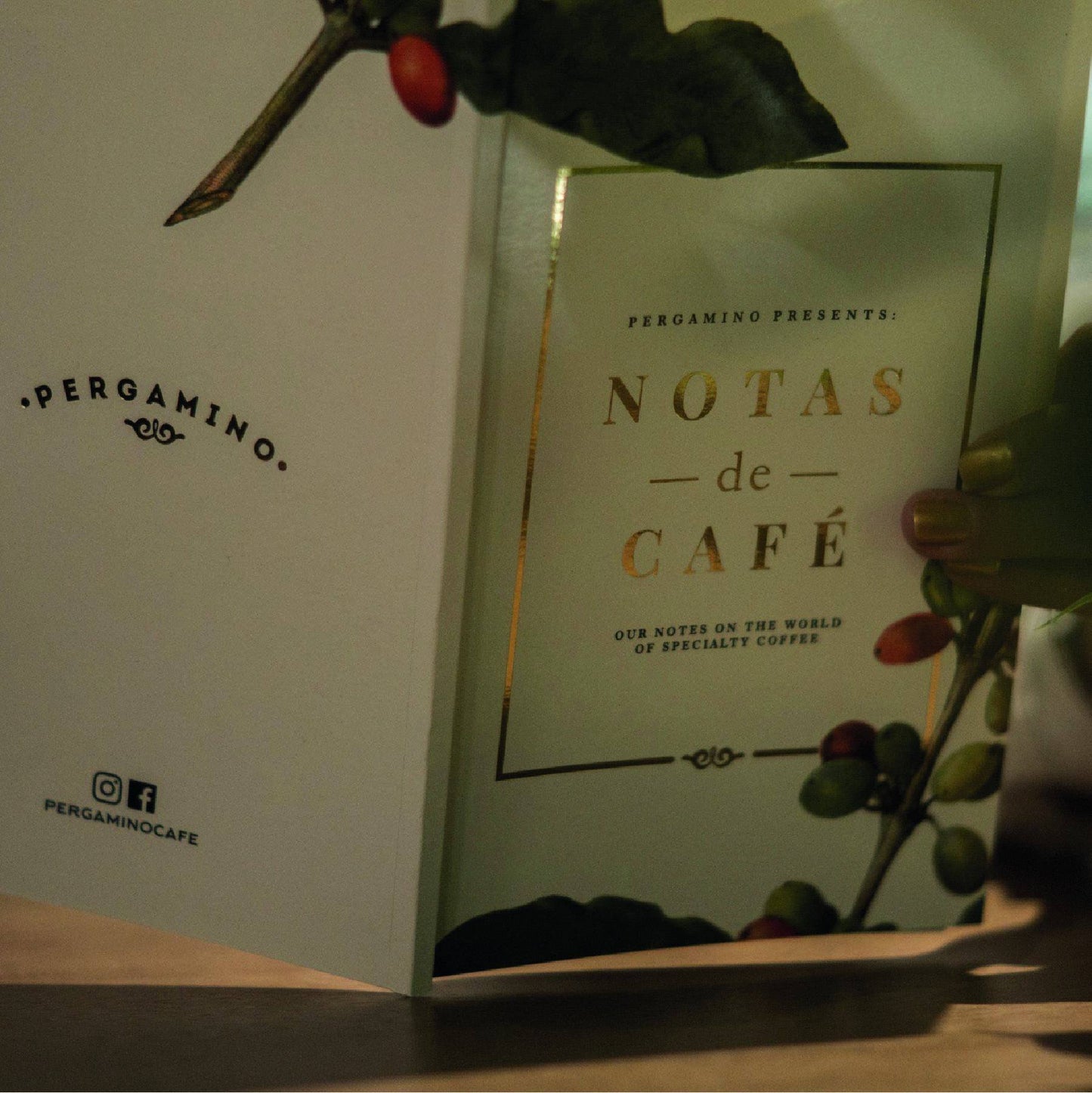 Notas de Café Booklet