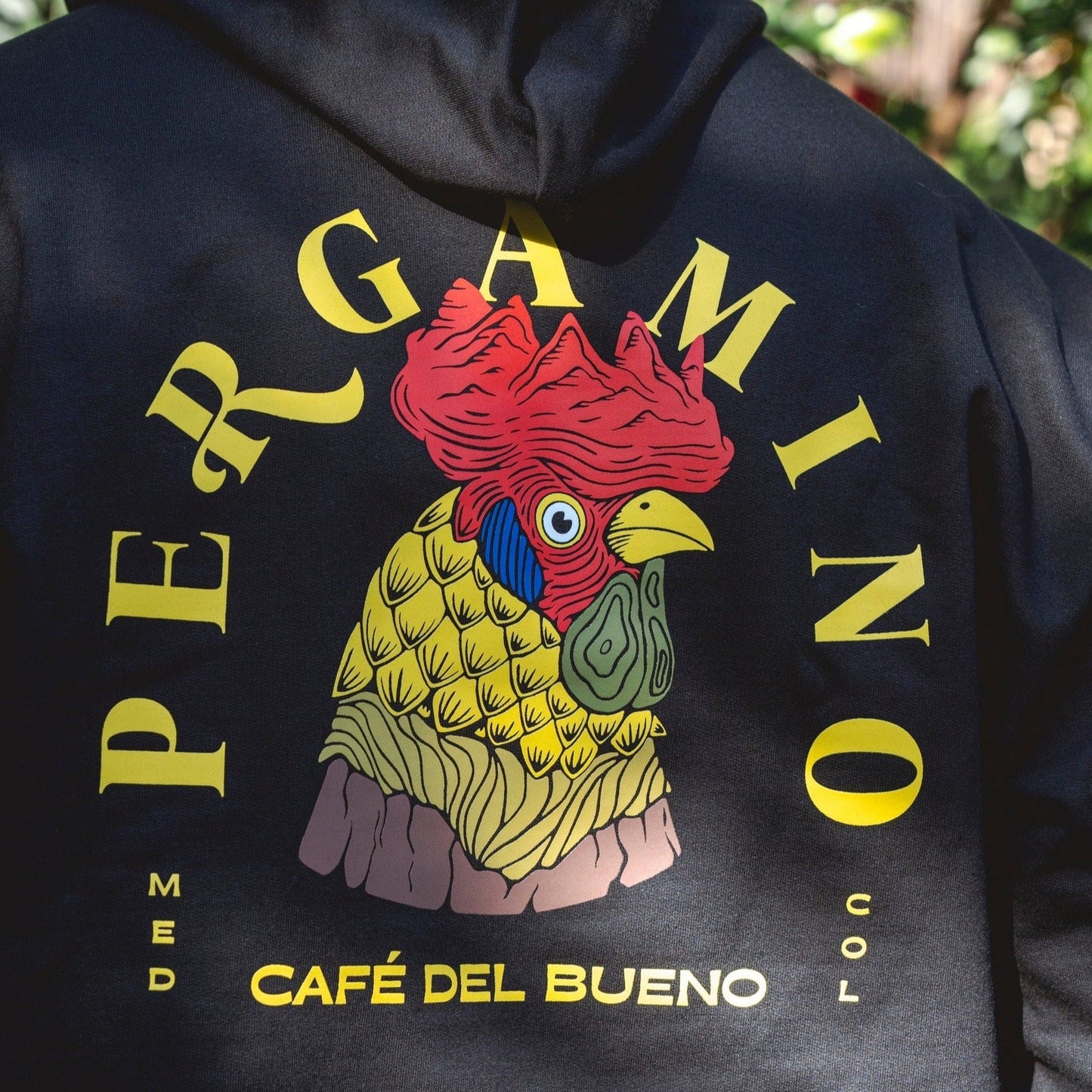 Chompa PERGAMINO Gallo