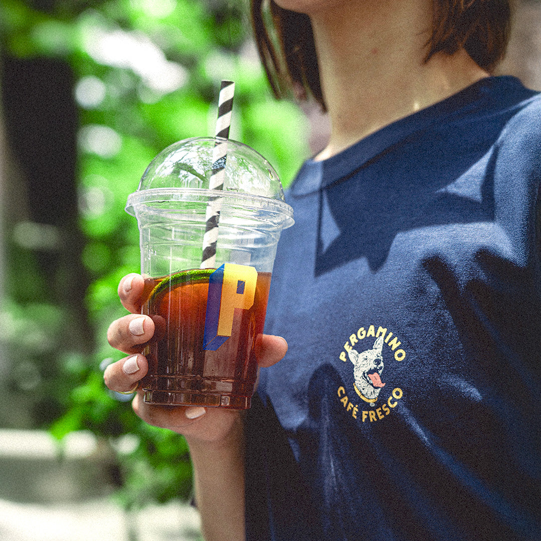 Alonso Navy Blue T-shirt
