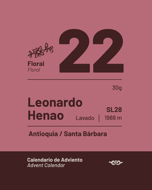 22 Leonardo Henao