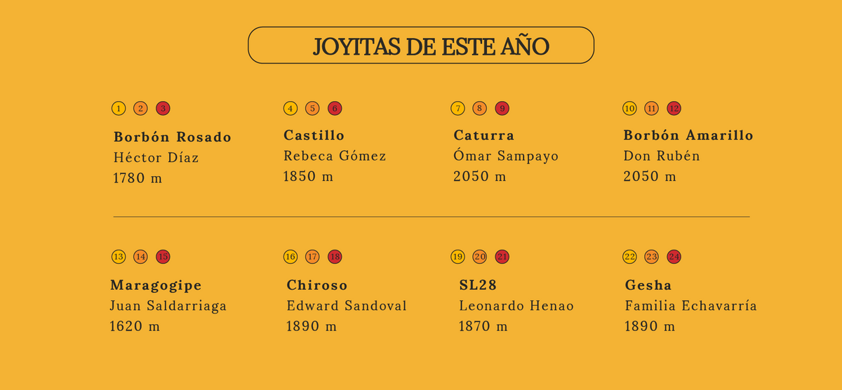 This year's coffee line-up: 8 varieties from 8 producers
