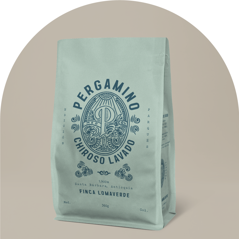 01. Introduction – PERGAMINO | US