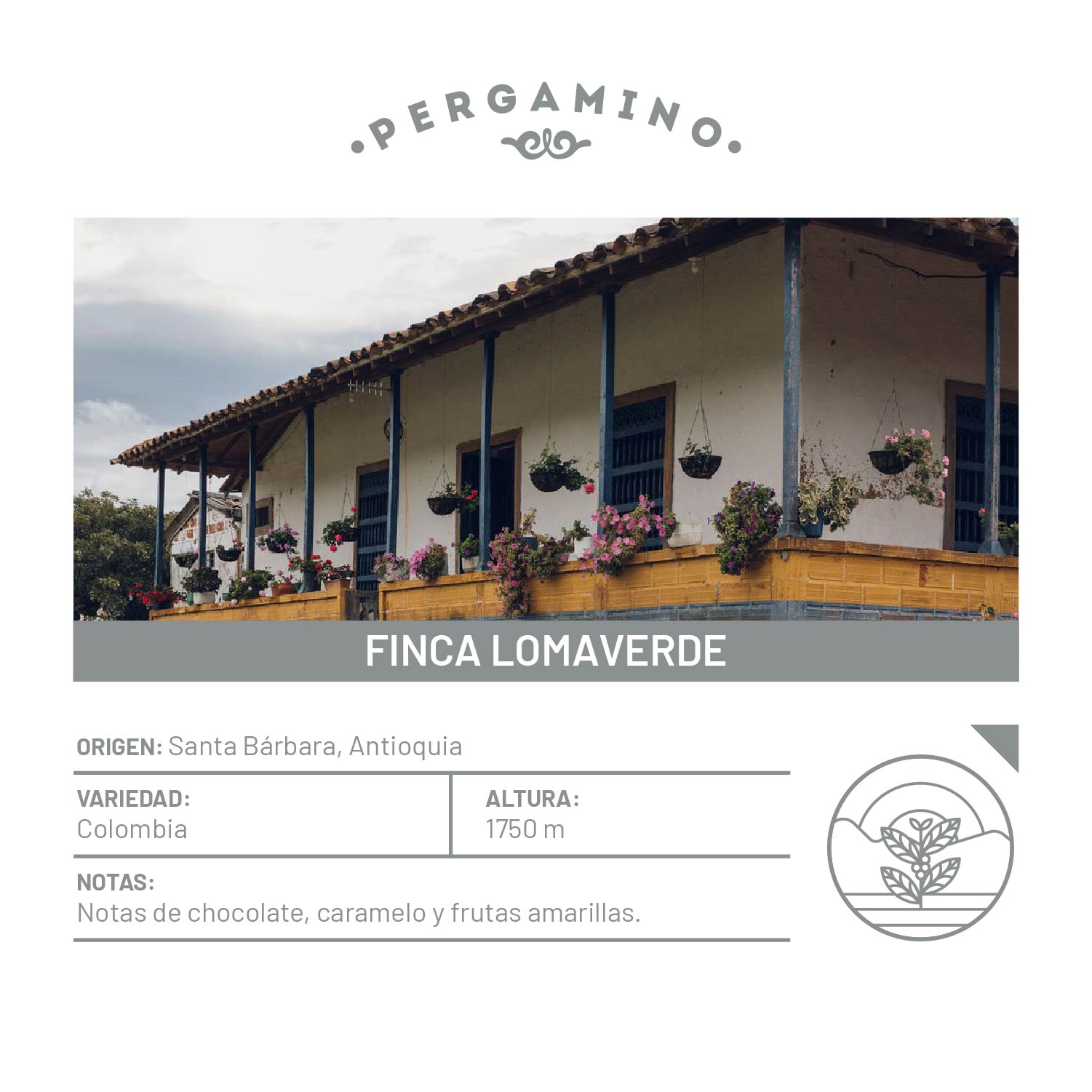 Finca Lomaverde (500g bag)